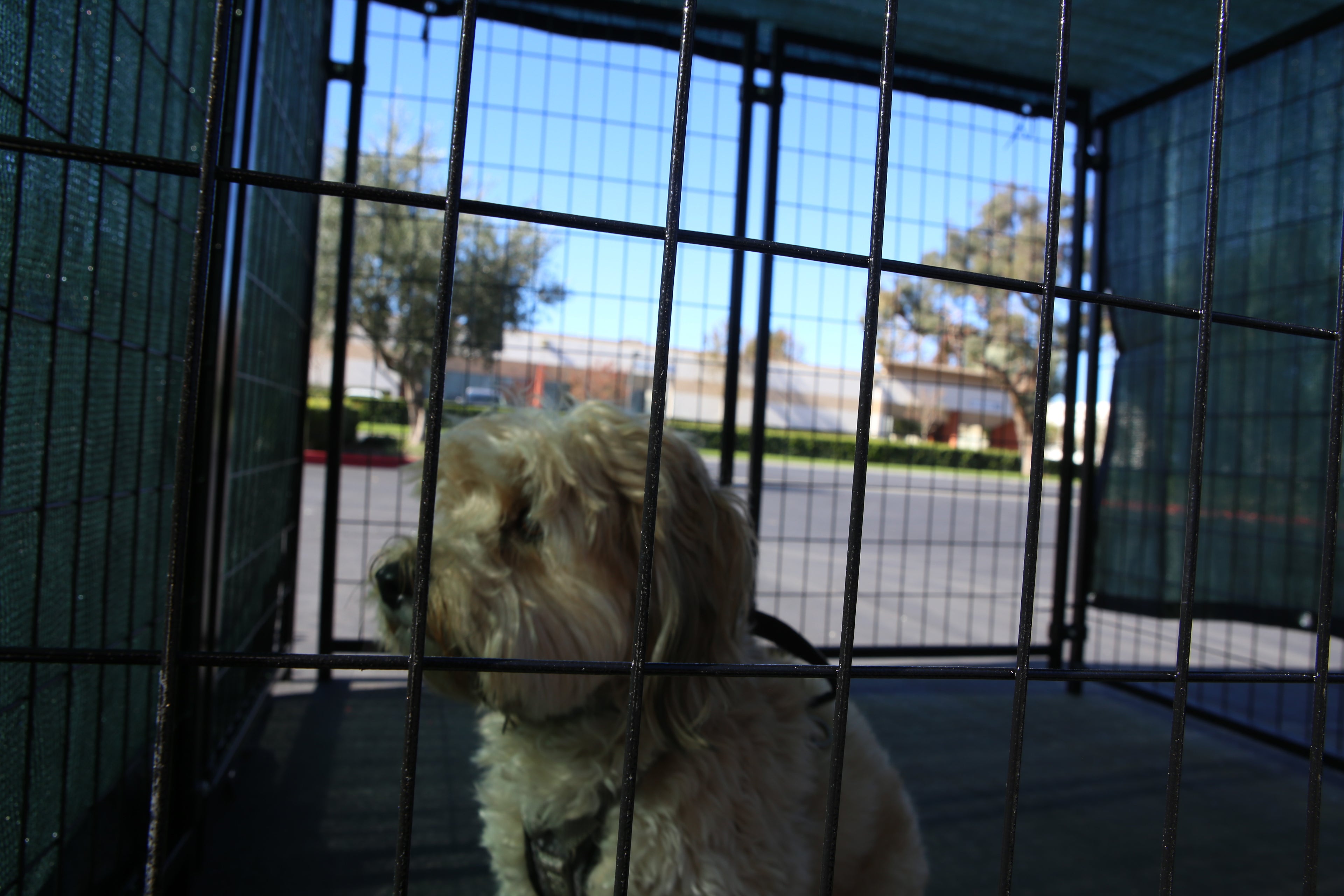 Heavy Duty 10' x 10' Kennel Shade Covers